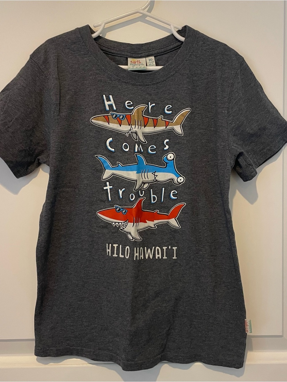 Earth Kids Charcoal Short Sleeve Tee with Red, Blue & Tan Shark Graphics